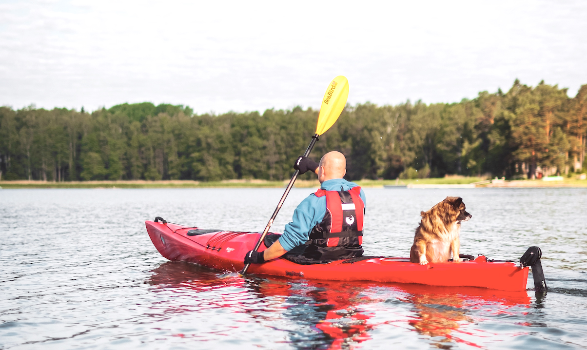 Dad Kayaking - Father's Day Gift Guide